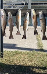 Sunrise to sunset, fishing Aransas Pass.